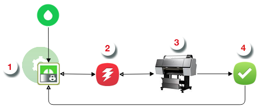 Pack Proof Workflow